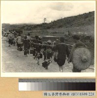 藏品(緬北戰鬥：我軍運輸彈藥)的圖片